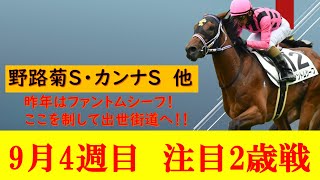 【9月4週目2歳戦】昨年ファントムシーフが勝った野路菊ステークスが開催！混戦を制すのはどの馬か！？