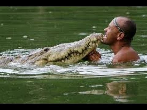 The Man Who Swims with Crocodiles