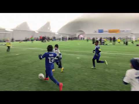 2023-01-22 KoiPS/Sininen - EBK/Keltainen