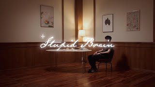 Cover art for Stupid Brain