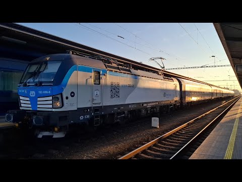 Abfahrt der 193 698-8 Billy Tygr am EC276 Matropolitan in Břeclav am 26.12.2024