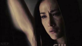 1x11 - Nikita Escapes Division