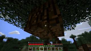 preview picture of video '[Let's play] Minecraft (for Kids)'