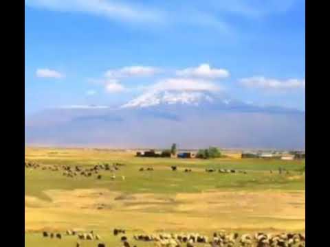 TEYRE XERİP RIZAYE XALIT