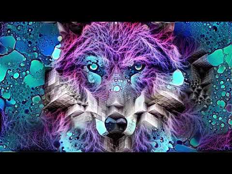 Phanatic - Quarantine Set