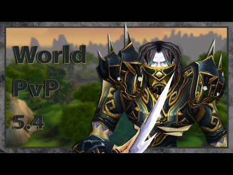 WoW MoP Lvl 90: Reaper Rogue PvP - World PvP Patch 5.4