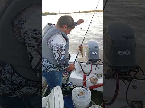 a full los armados en reconquista santa fe