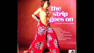 Werner Müller - Je T'Aime Moi Non Plus (Serge Gainsbourg Cover)