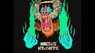 Hiatus Kaiyote - 06 Breathing Underwater