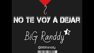 Video No Te Voy A Dejar (Audio) de Big Randdy 