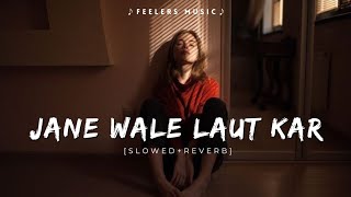 Jane Wale Laut Kar  Slowed+Reverb  Feelers Music