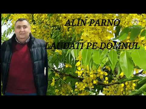 ALIN PARNO  LĂUDAȚI PE DOMNUL NOU 2021