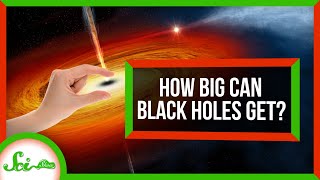 How Big Can Black Holes Grow?