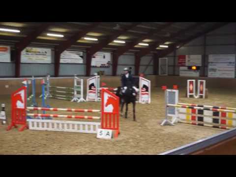 Erin *2012 Holsteiner mare by Uriko - Cormint - Casall