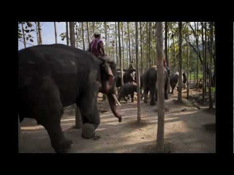 1258 shots of Thailand - Music: Jef Neve - Synrise