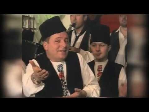 Žika Cvetković - 20 de anj trekura
