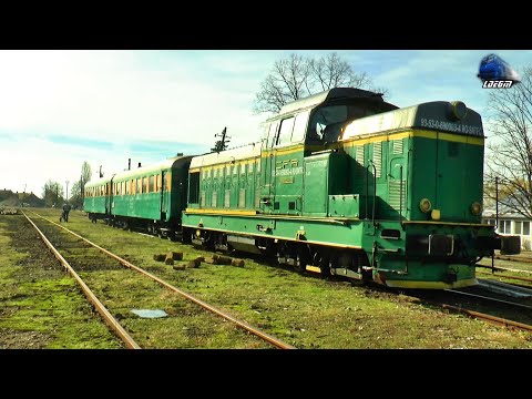 Locomotiva LDE1250 69-0003-4 la Manevră/Shunting in Gara Oravița Station  - 12 November 2021