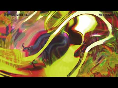 Riton x David Guetta x Jozzy - Where You Want [Visualizer]