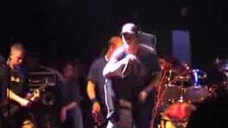 Born From Pain - Reclaiming The Crown