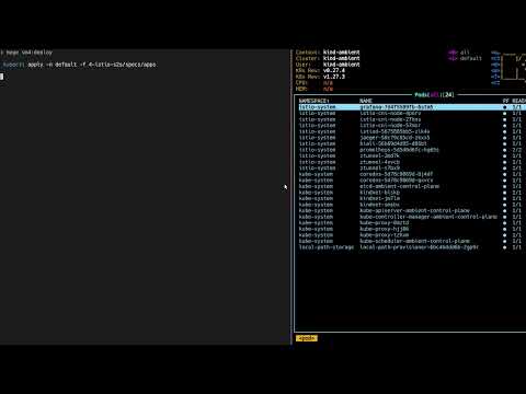 Istio Ambient Mesh and gRPC methods authorization