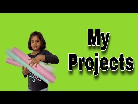 Class 4 projects | science and social charts | Ashritha | 6 nutrients | monuments of Indian