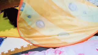 #ミニチュアダックスフンド#マロン#モモ テントを巡って大暴れ