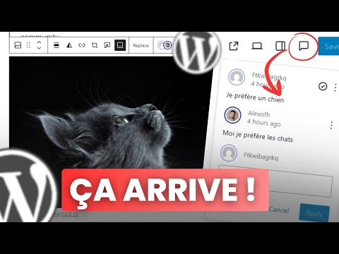 Vignette vidéo YouTube