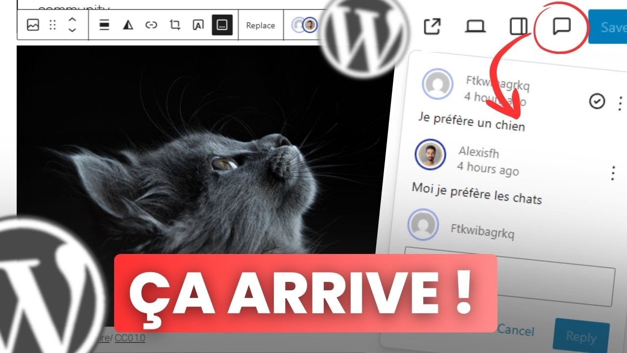 WordPress 6.9 - Les 7 Nouveautés Majeures
