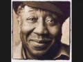 Muddy Waters - Mannish boy (from the album ...
