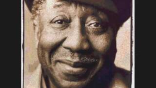 Muddy Waters - Mannish boy (from the album 