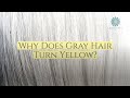 Why Does Gray Hair Turn Yellow? 7 External Causes and Solutions