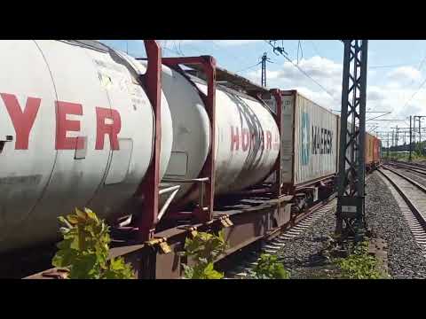 mal wieder in Hamburg-Harburg Teil 2