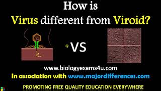 5 Differences between Virus and Viroid | Virus vs Viroids| BiologyExams4u |