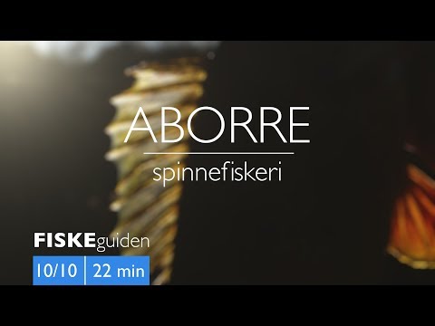 FISKEguiden 10/10: Aborre