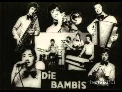 DIE BAMBIS - Nur ein Bild von dir