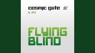 Flying Blind (Extended Mix)