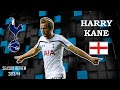 HARRY KANE 2011-2014 GOALS & SKILLS 