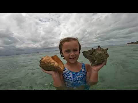 Swiggin Bahamas 2023