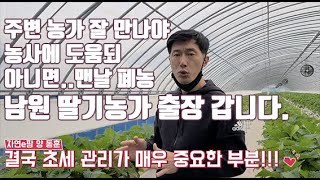 이웃 남원 딸기농가님 요청으로 농장 방문 다들 같이 도와주며 딸기 키워봐요 제발 ~ 그리고 다른 농장 방문 …
