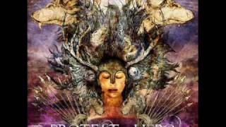 Protest the Hero - Wretch