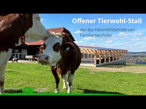 Neubau/Umbau Tierwohlstall