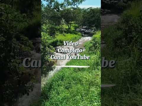 🌿 Um pedacinho de paz em Mineiros – GO