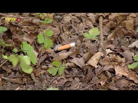 Deutscher Wetterdienst warnt vor Waldbrandgefahr