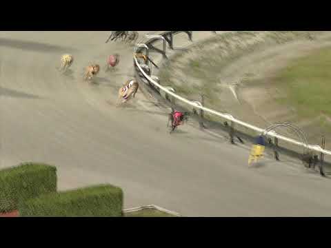 Albion-Park-Sunday-17072022-Race-3