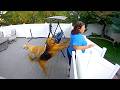 Hilarious Security Camera Fails Funny Videos