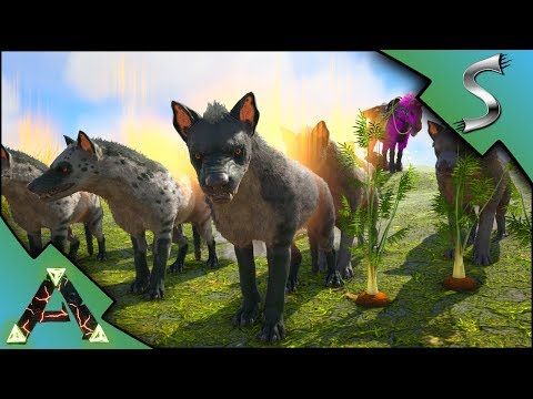 HYAENODON TAMING! BREEDING UP A LITTLE WAR PACK! - Ark: RAGNAROK [DLC Gameplay E10]