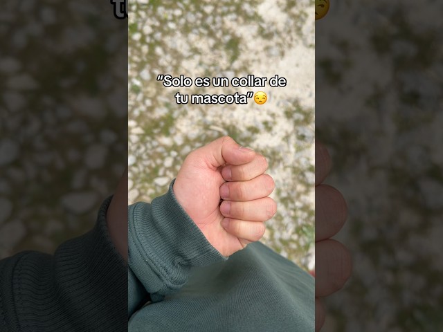 Vídeo relacionado con ZIOYANE Paquete de 5 llaveros de cuero personalizados para mascotas, regalo conmemorativo en forma de pata para perros y gatos, bolsa de almacenamiento de pelo de mascotas compatible