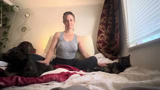 Waking Up in the Morning  | Petting Purring Cats in Bed | asmr