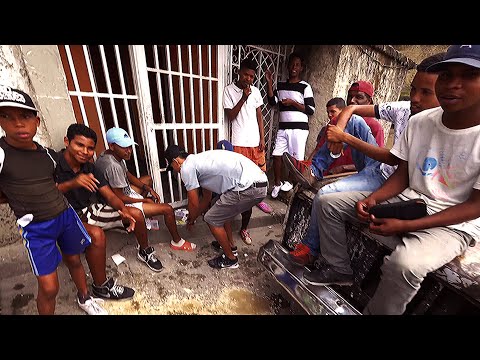 KREŠO BENGALKA - CARACAS