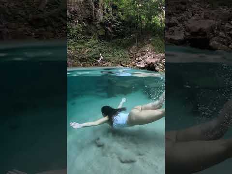 A magia inexplicável do Santuário das Araras em Barra do Garças no Mato Grosso.